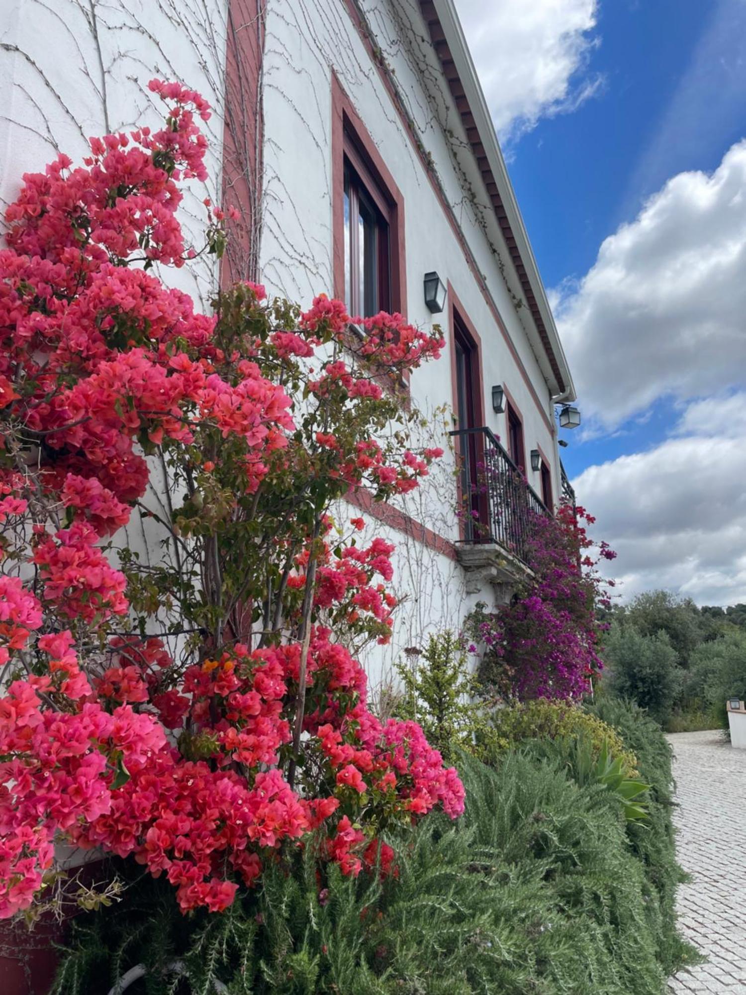 Apartament Quinta Da Asneira Montemor-o-Novo Zewnętrze zdjęcie
