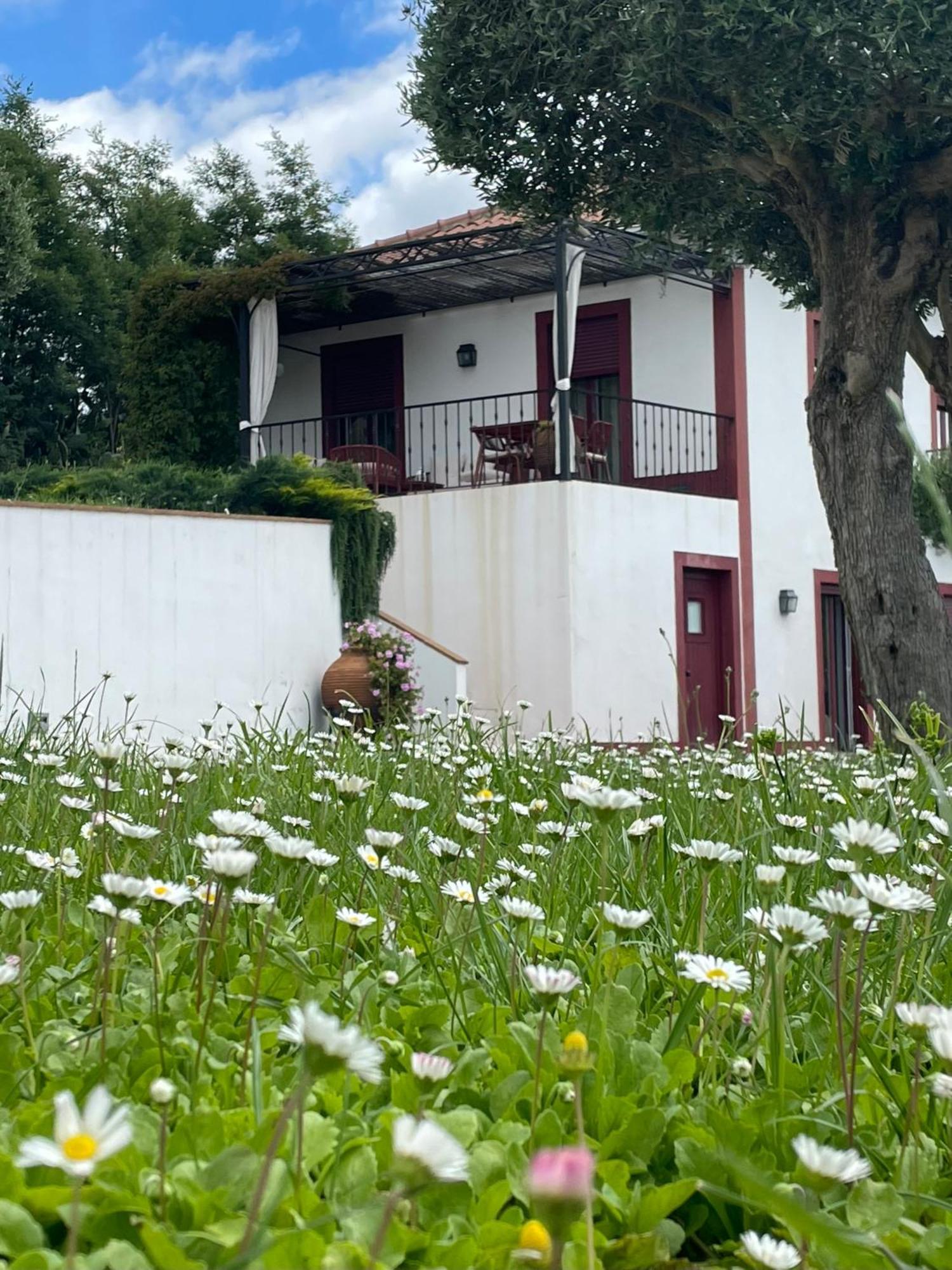 Apartament Quinta Da Asneira Montemor-o-Novo Zewnętrze zdjęcie