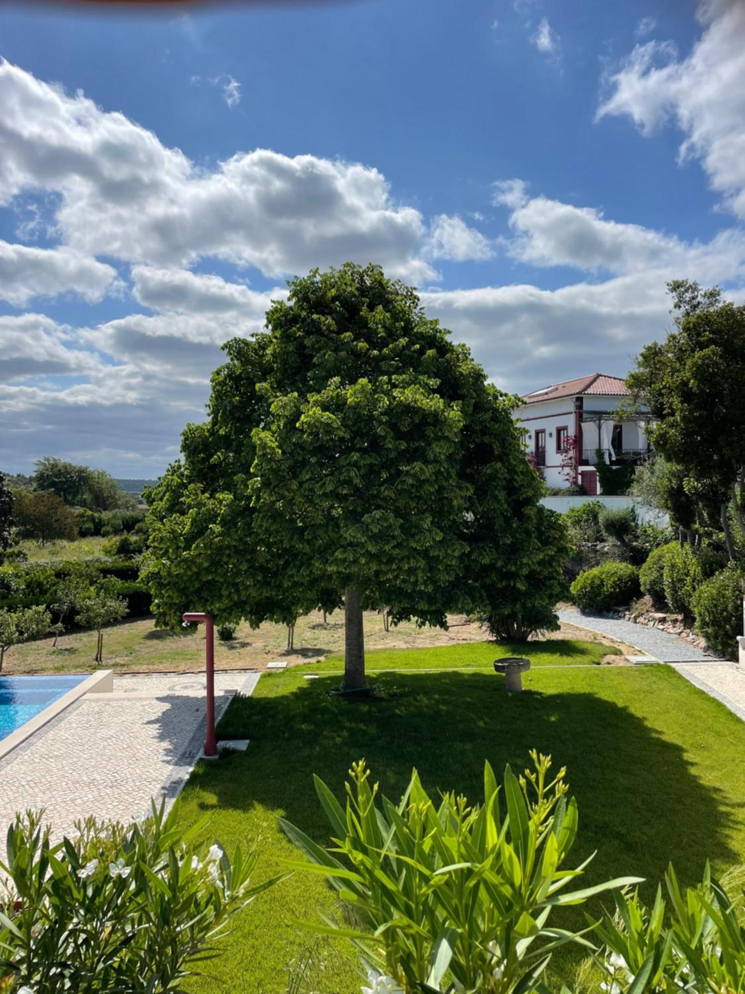 Apartament Quinta Da Asneira Montemor-o-Novo Zewnętrze zdjęcie